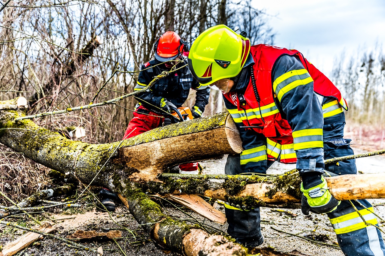 emergency tree trimming